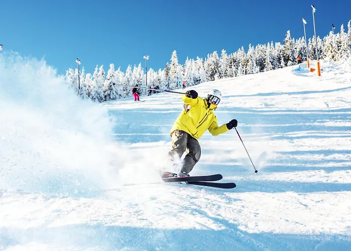 Hotel Czarna Perla - Czarna Gora By Sun & Snow Sienna (Klodzko)